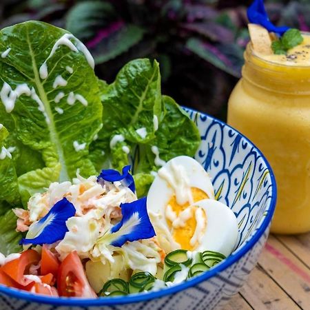 Mango Tree Eco-Hostel Dauin Ngoại thất bức ảnh