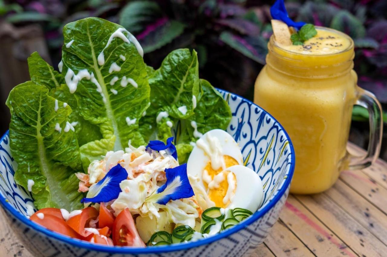 Mango Tree Eco-Hostel Dauin Ngoại thất bức ảnh