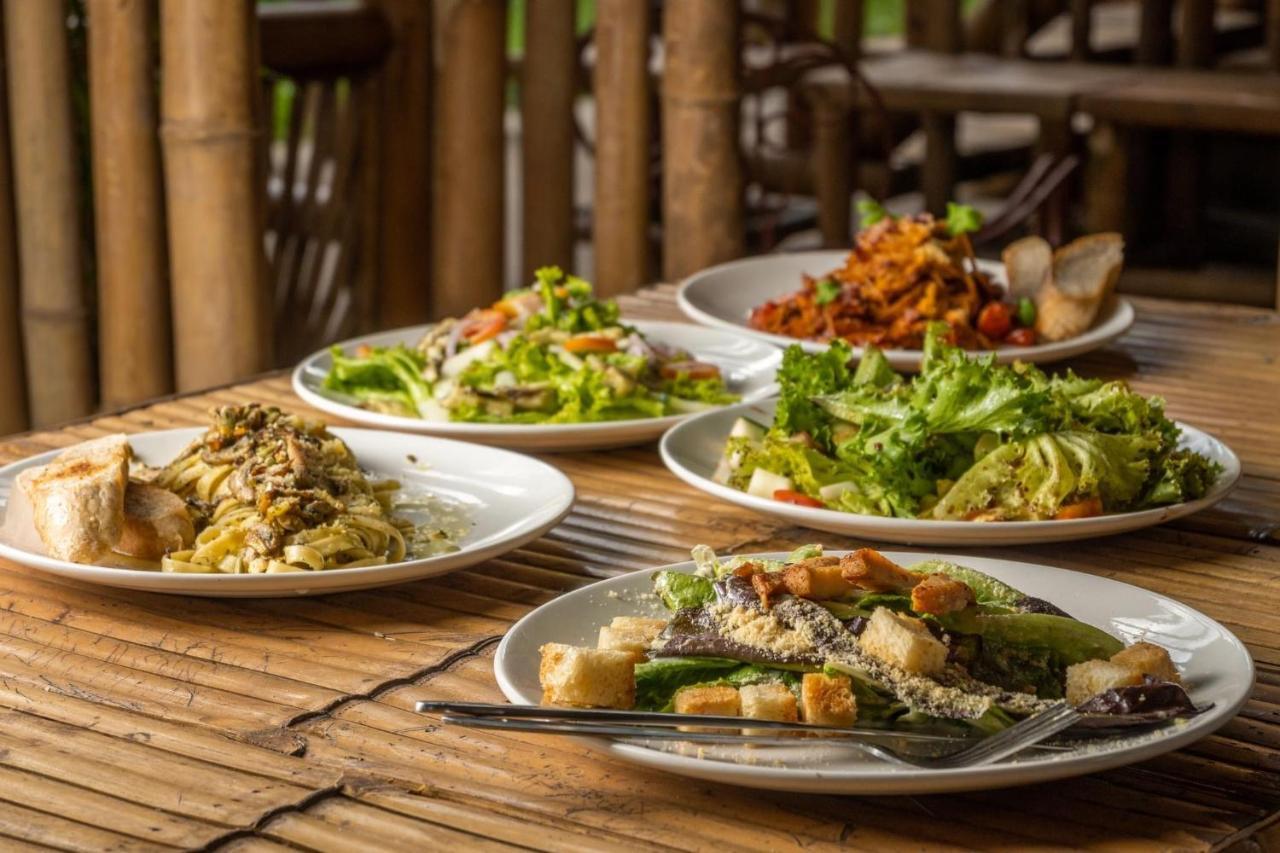 Mango Tree Eco-Hostel Dauin Ngoại thất bức ảnh